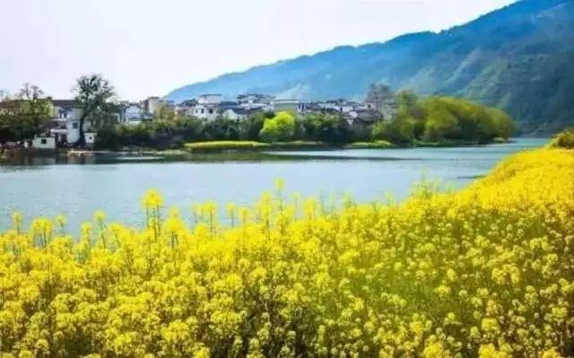 春满中国·醉西安丨2018中国长安国际赏花季暨花海趣骑健身节在杨庄街道圆满举行-1.jpg