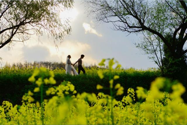 春满中国·醉西安丨2018中国长安国际赏花季暨花海趣骑健身节在杨庄街道圆满举行-6.jpg