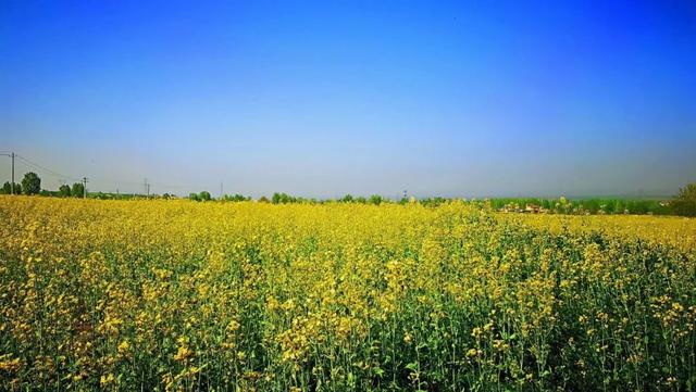 春满中国·醉西安丨2018中国长安国际赏花季暨花海趣骑健身节在杨庄街道圆满举行-14.jpg