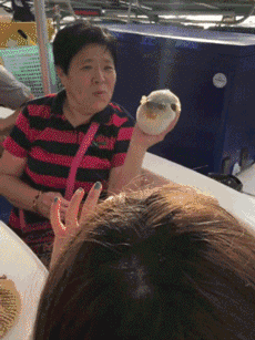 给你一个白眼你自己体会！-1.jpg