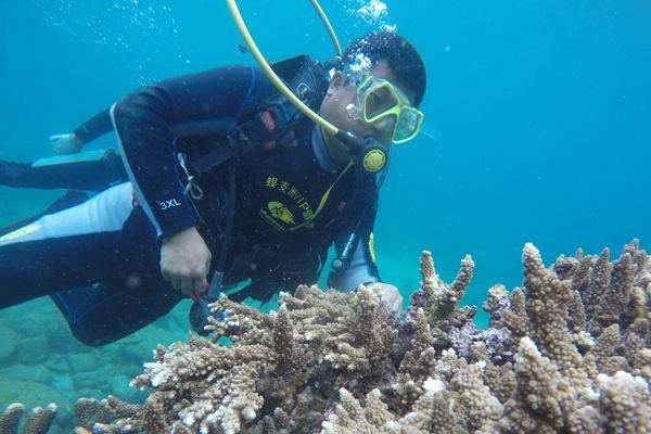 三亚蜈支洲岛珊瑚移植再登央视 成为琼岛生态立省30年缩影-1.jpg