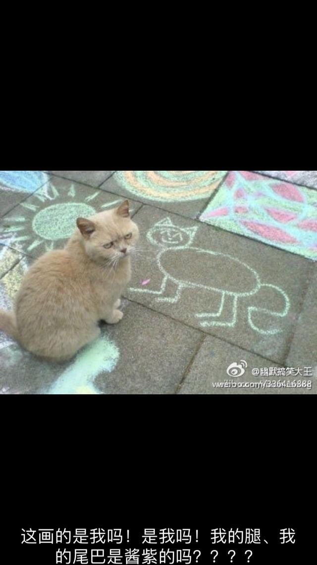 幽默段子：自从和女朋友分手后，发现腰不酸了，腿不抽筋了-1.jpg