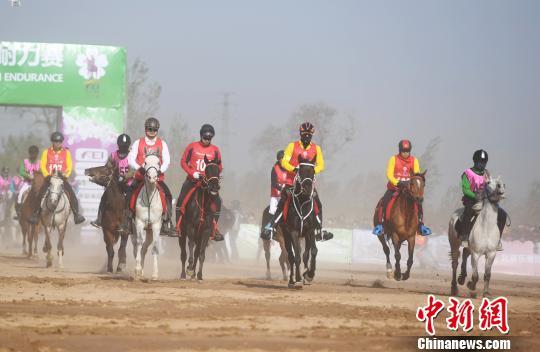 2018国际马术耐力赛在“梨都”砀山扬鞭开赛-3.jpg