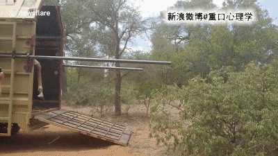 搞笑第三波-6.jpg