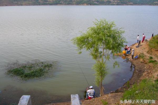 钓鱼黄金季节你都钓不到鱼？野钓高手经验总结，问题都出在这里-2.jpg