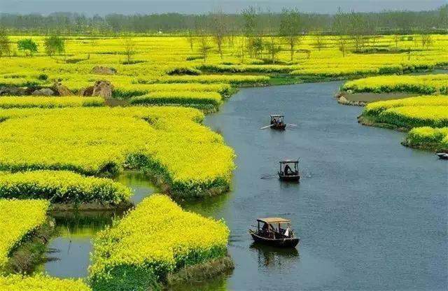 「摄影技巧」花开成海，油菜花拍摄技巧大全！-10.jpg