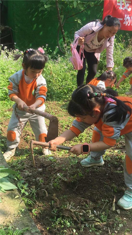 我们手拉手 一起来播种——雨城区一幼解放路园区与多营镇幼儿园联合开展亲子种植”主题活动-6.jpg