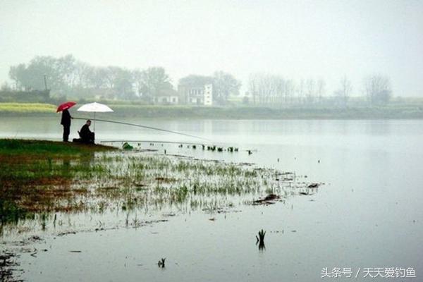 钓鱼老师傅春季钓鱼的秘密技巧，渔获每次都比别人多几倍-1.jpg