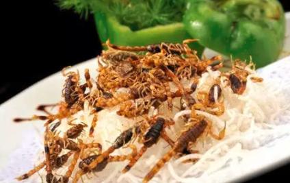 广东美食水蟑螂，给我一亿我都不敢吃！这些昆虫美食，你敢吃吗？-7.jpg