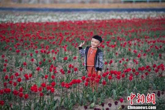 西藏拉萨净土健康产业助农牧民增收-2.jpg