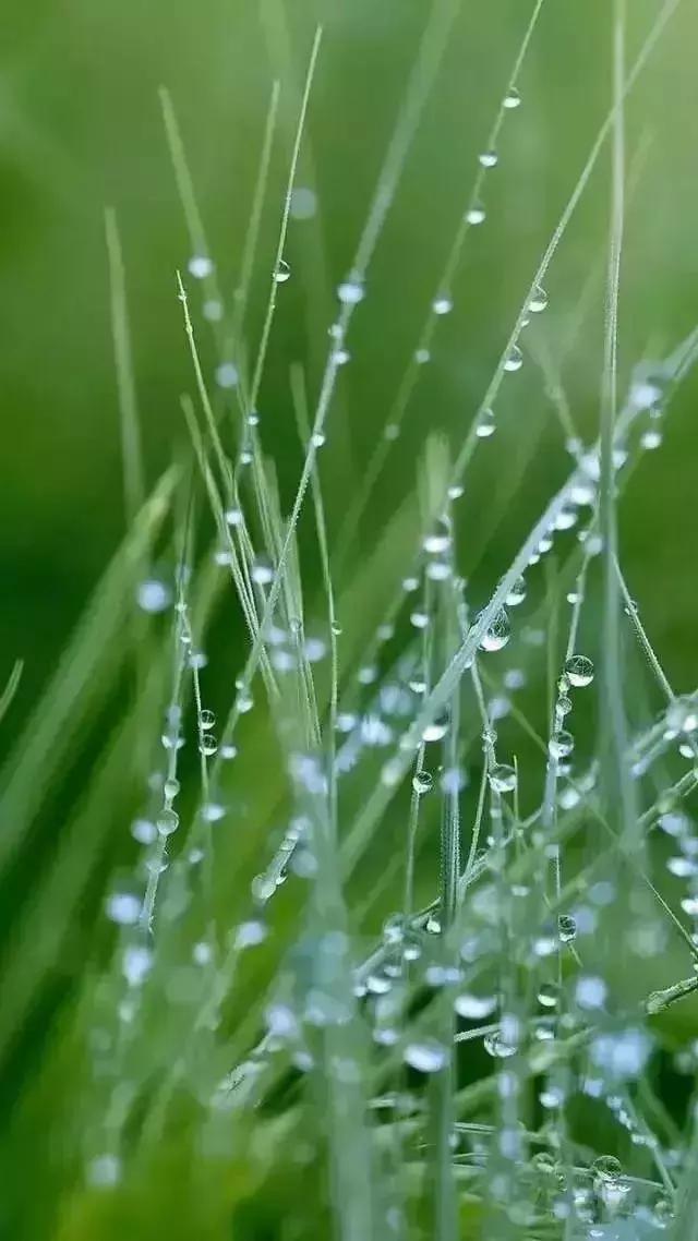 七个摄影小技巧，让你在雨天也能拍出好照片-22.jpg