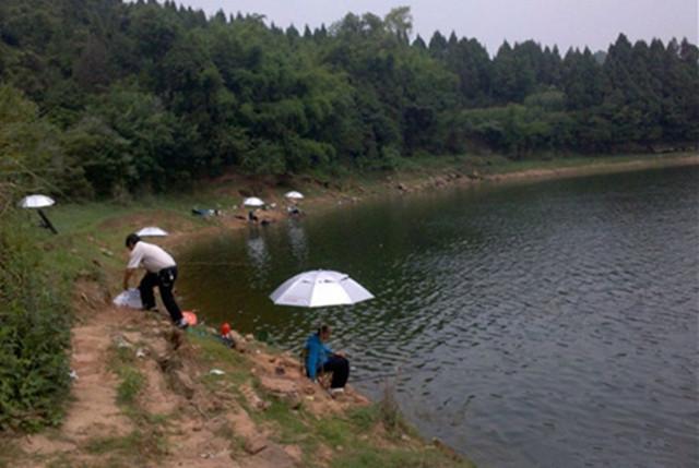 想要爆护，试试这款窝料配方，野钓鲫鲤草鱼效果好！-1.jpg