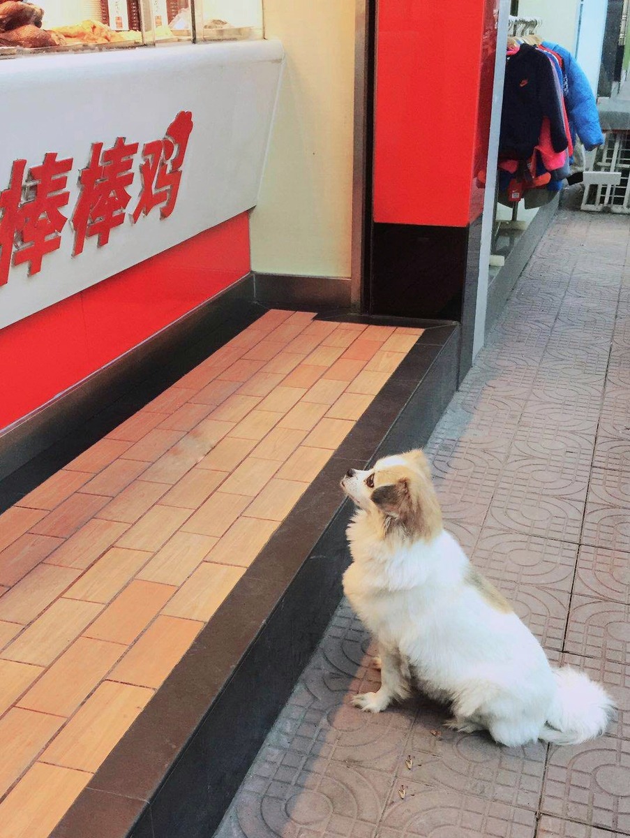 图虫人文摄影：萌萌哒-3.jpg