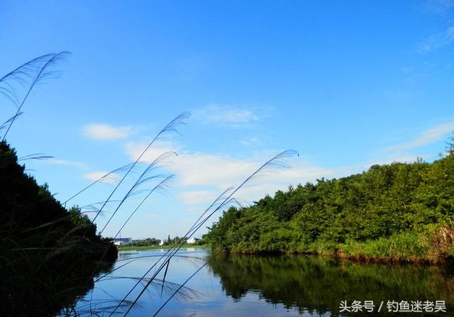 特殊的天气情况，对钓鱼会产生什么影响？-2.jpg