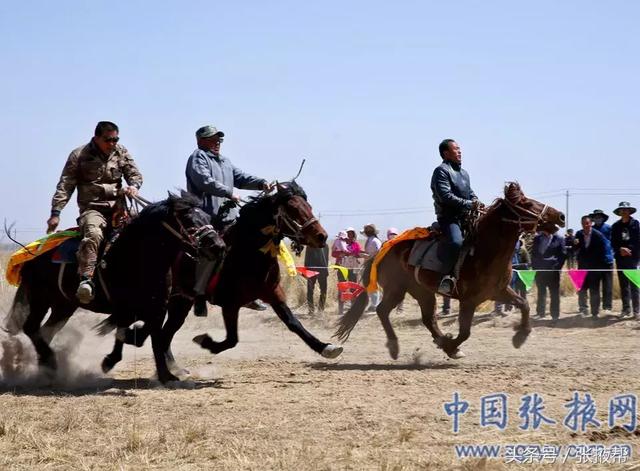 「爱摄影」肃南：春风送暖马蹄疾-3.jpg