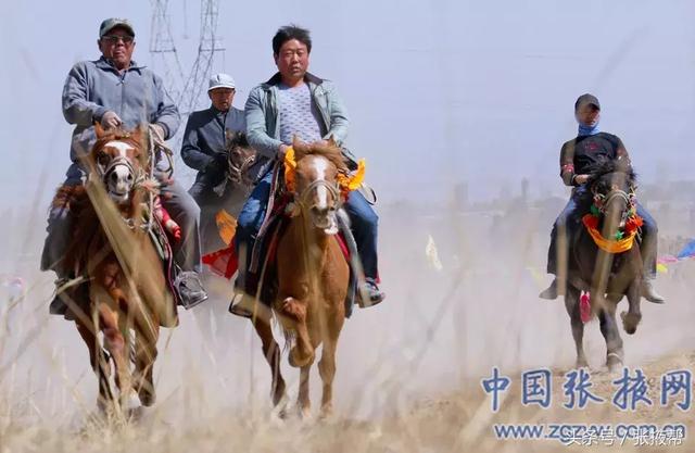 「爱摄影」肃南：春风送暖马蹄疾-8.jpg