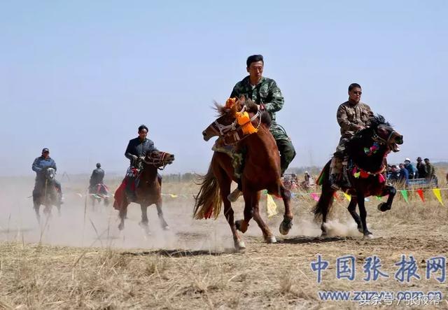 「爱摄影」肃南：春风送暖马蹄疾-12.jpg