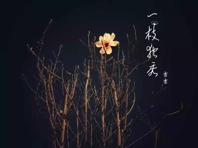 那些用手机摄影的人是怎么做到专业的？-14.jpg
