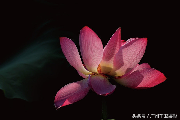 摄影技巧 9种不同光线在摄影中的表现-16.jpg