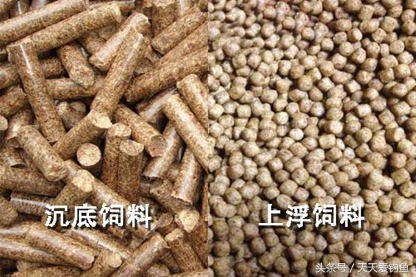 钓鱼发愁用什么饵？详解原塘颗粒的正确用法，以后不用买饵料了-2.jpg