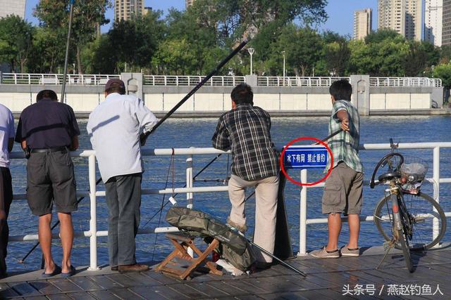 别埋怨钓鱼老是空军，钓鱼这些坏习惯，早点改正才能保证渔获多多-5.jpg