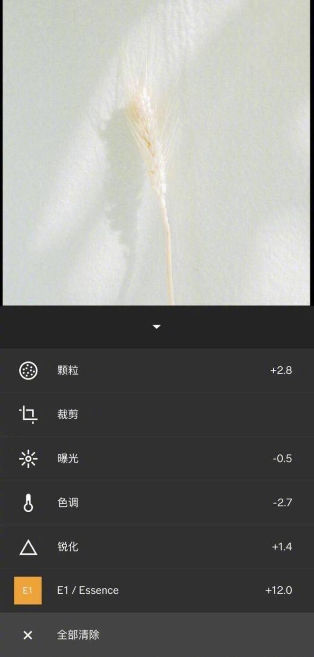 手机摄影调色丨VSCO 清新风调色教程合集 步骤见图-6.jpg