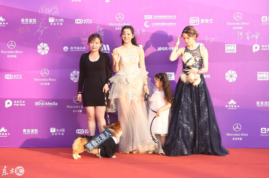 第八届北京国际电影节拉开序幕，谁会获奖呢，吴京还是马苏-3.jpg