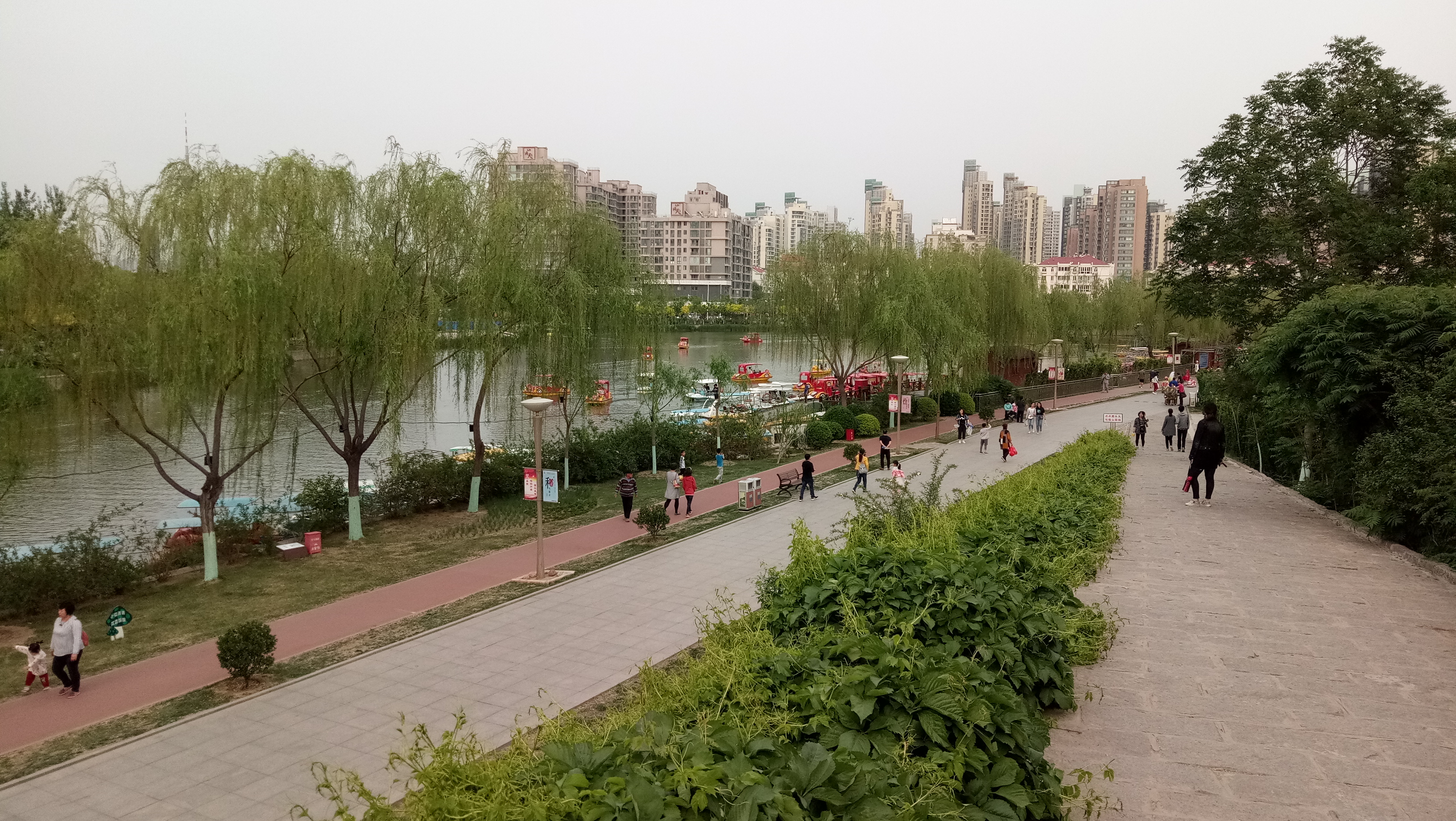 这个天津市区的公园，可亲子休闲、健身划船，最大特点是能爬假山-11.jpg