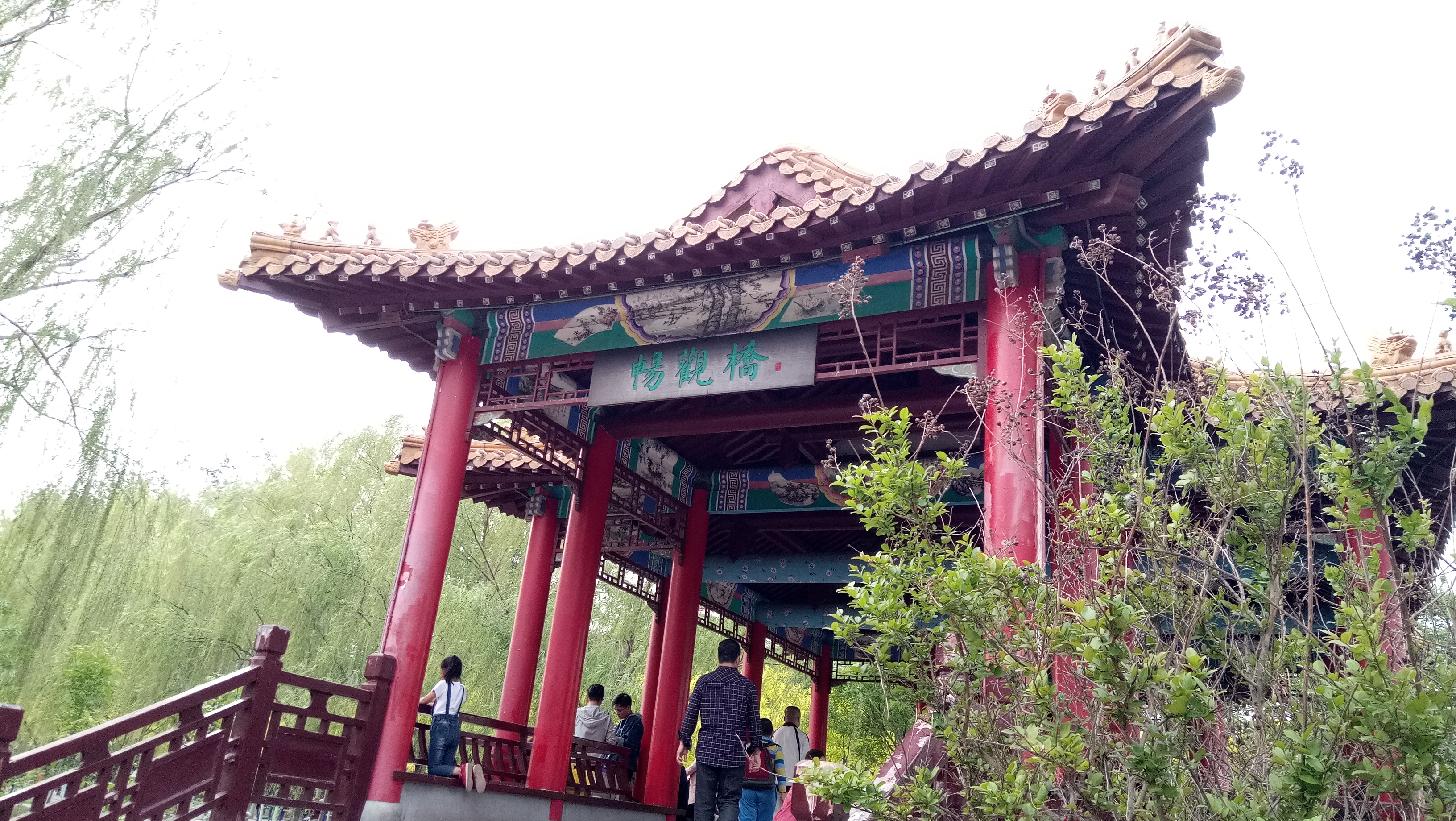 这个天津市区的公园，可亲子休闲、健身划船，最大特点是能爬假山-15.jpg