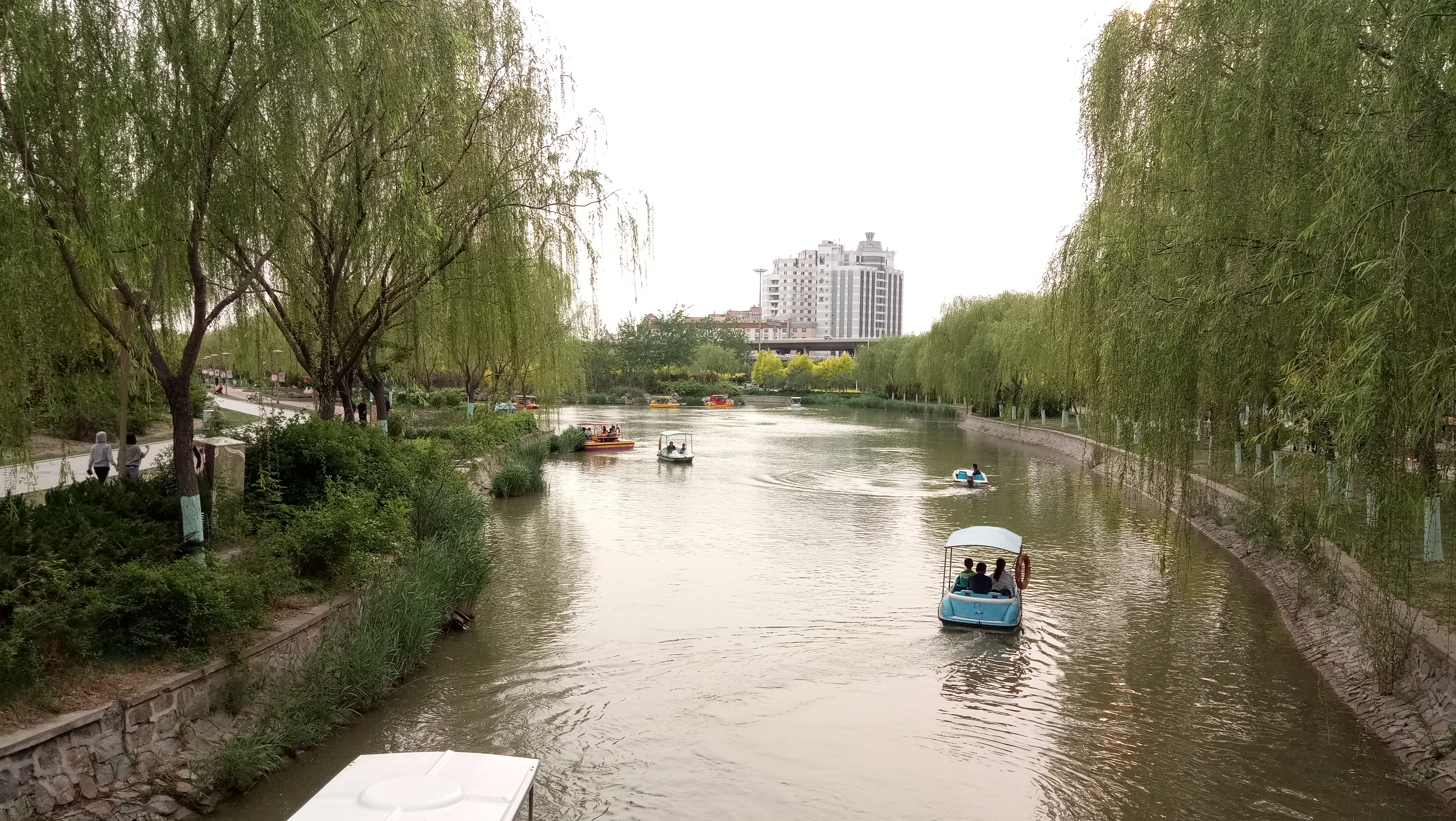 这个天津市区的公园，可亲子休闲、健身划船，最大特点是能爬假山-17.jpg