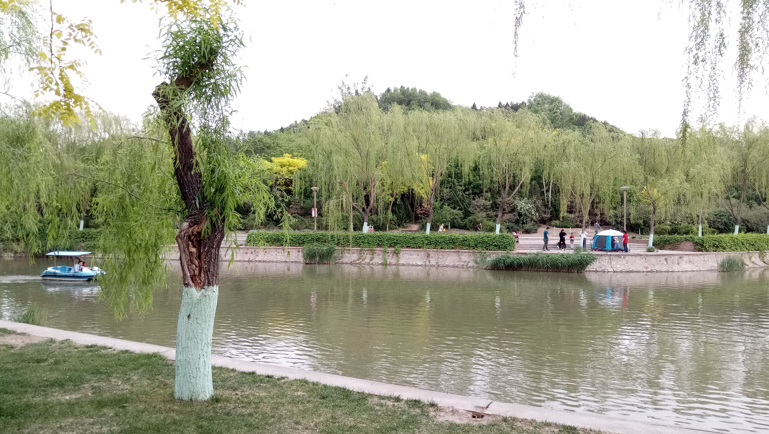 这个天津市区的公园，可亲子休闲、健身划船，最大特点是能爬假山-19.jpg