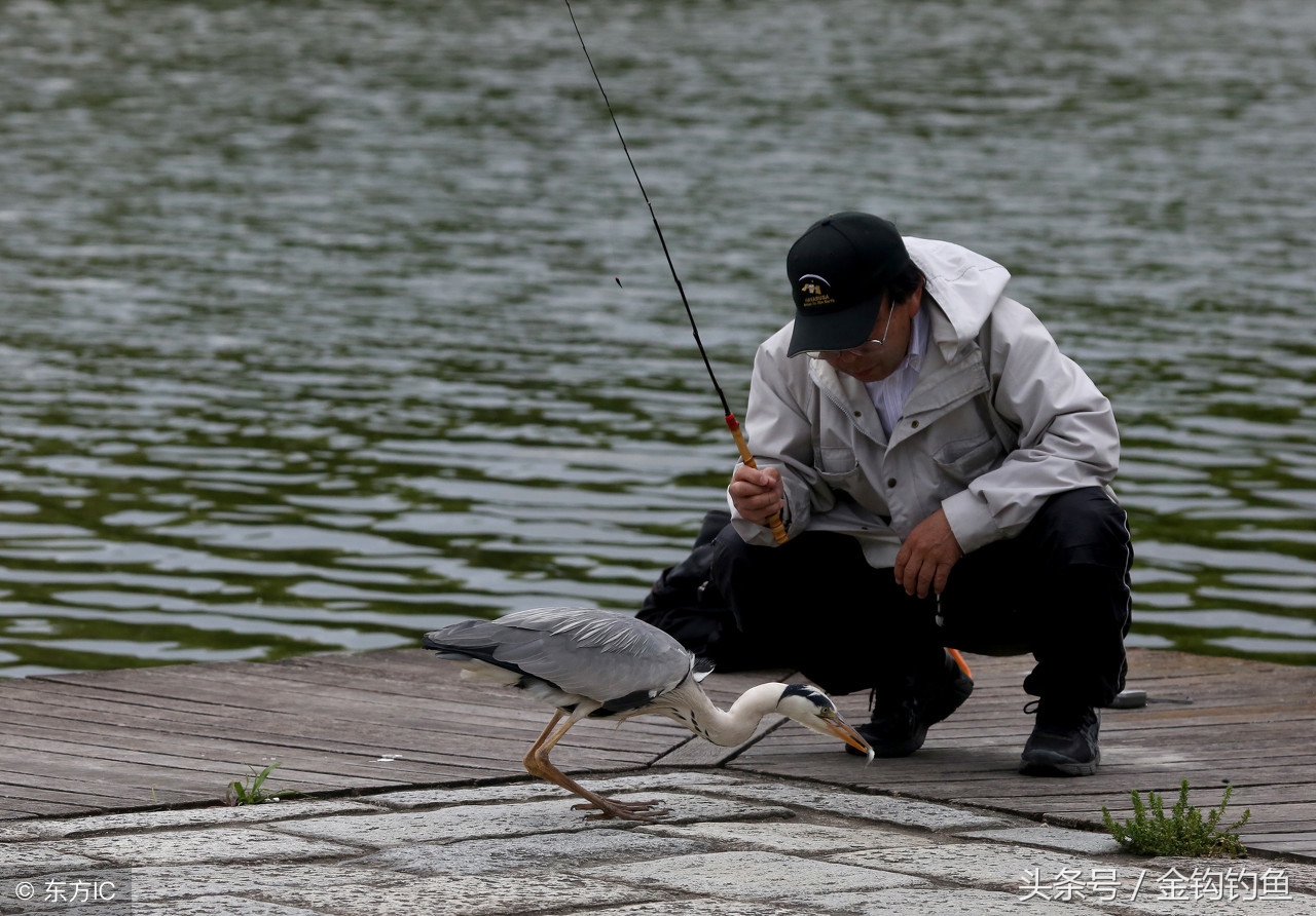 为什么你钓鱼总是不上鱼？这就是原因！-2.jpg