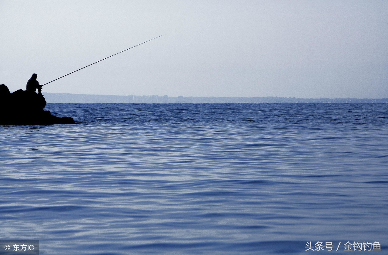 为什么你钓鱼总是不上鱼？这就是原因！-5.jpg
