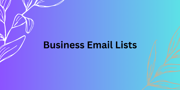 Business-Email-Lists-1.png