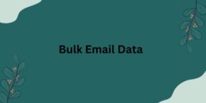 Bulk-Email-Data-1-300x150.jpg