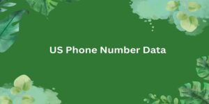 US-Phone-Number-Data1-300x150.jpg