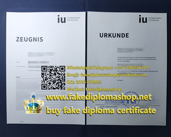 IU%20Internationale%20Hochschule%20diploma%20and%20transcript.jpg