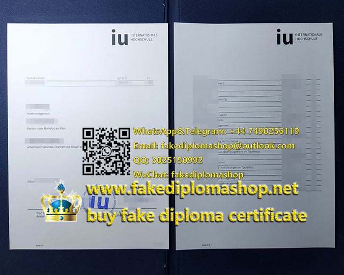 IU%20Internationale%20Hochschule%20transcript.jpg
