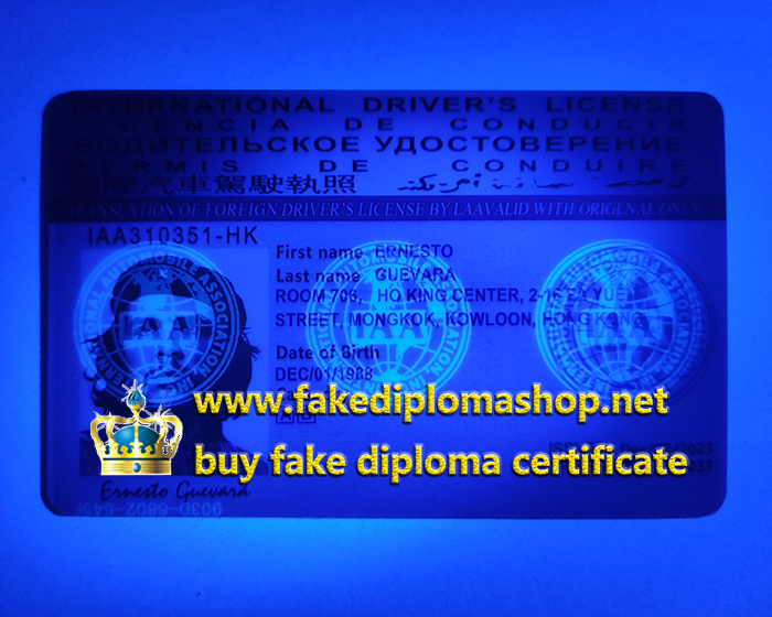 International%20Driver%E2%80%99s%20Licence%202.jpg